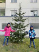 Weihnachtsbaum-Aktion beim Pflegheim